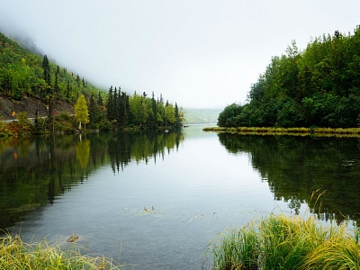 Алюминий в чистом виде