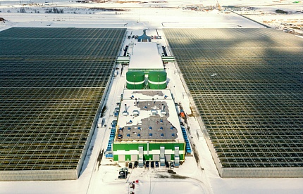 Как алюминий создает тепличные условия.