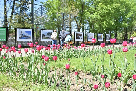Photo Exhibitions in Moscow Parks Celebrating the Aluminium Industry's 90th Anniversary preview 1
