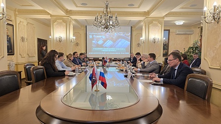 Годовое собрание по Энергетике