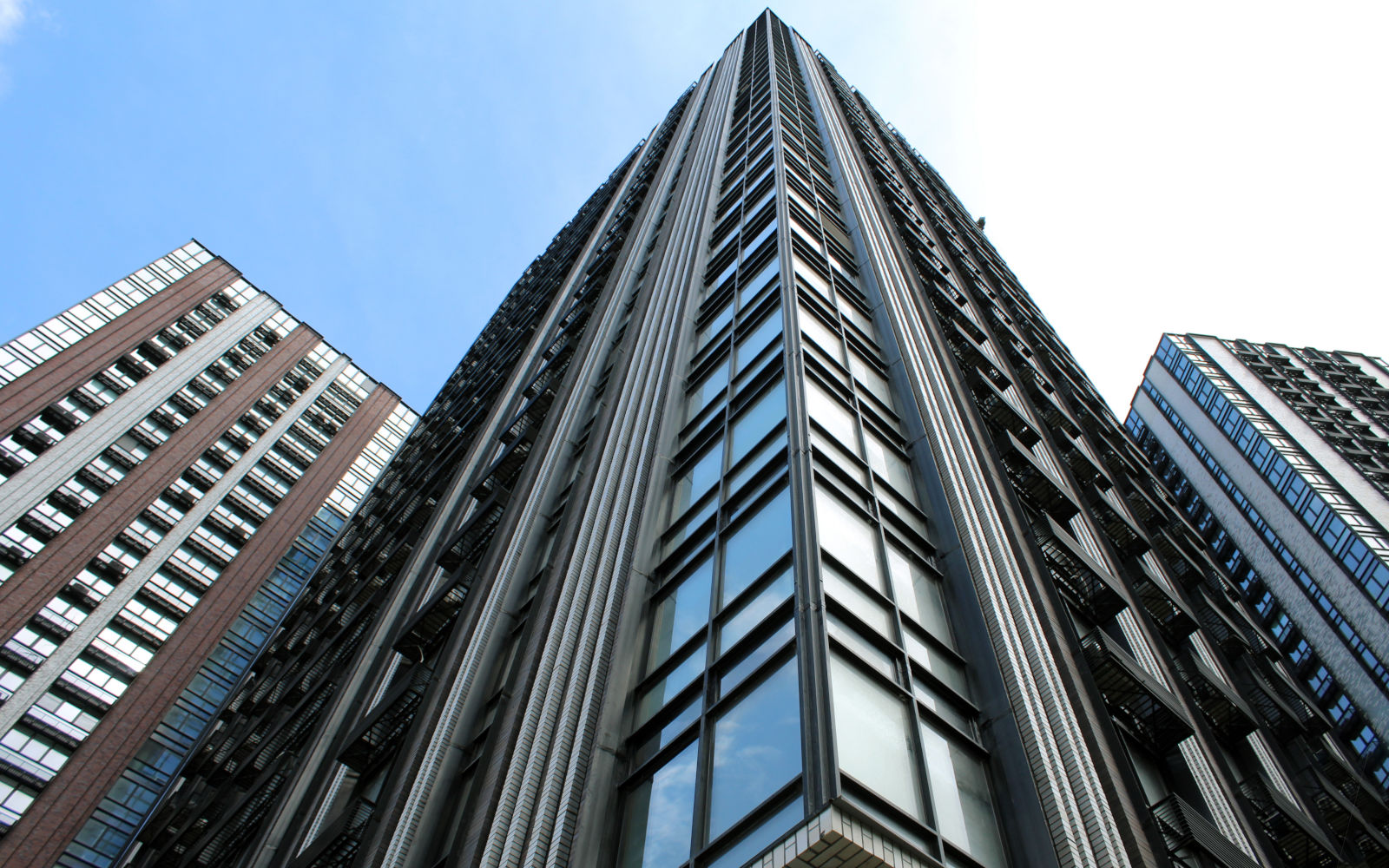 Все, к чему мы прикасаемся, становится будущим