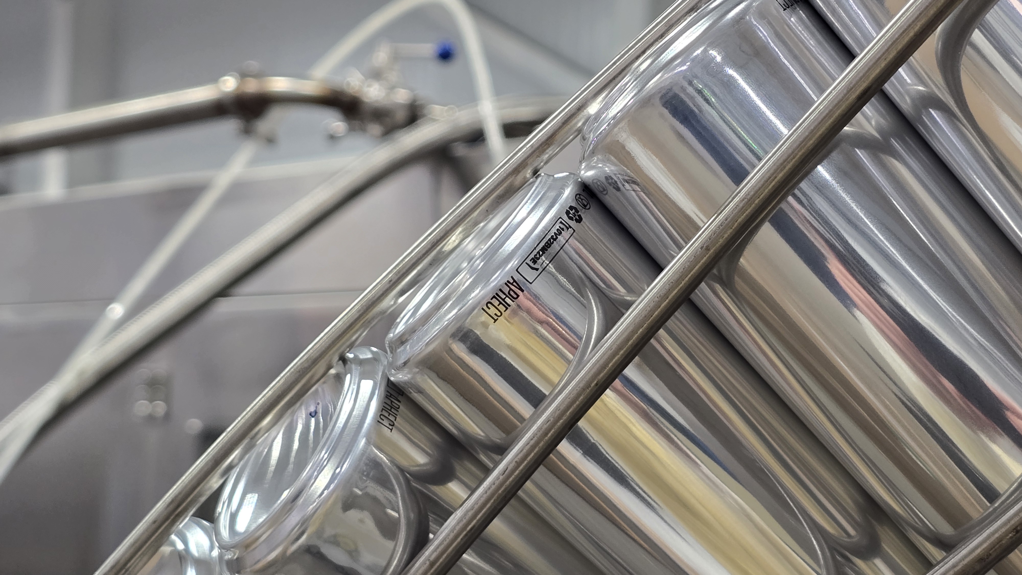 Все, к чему мы прикасаемся, становится будущим