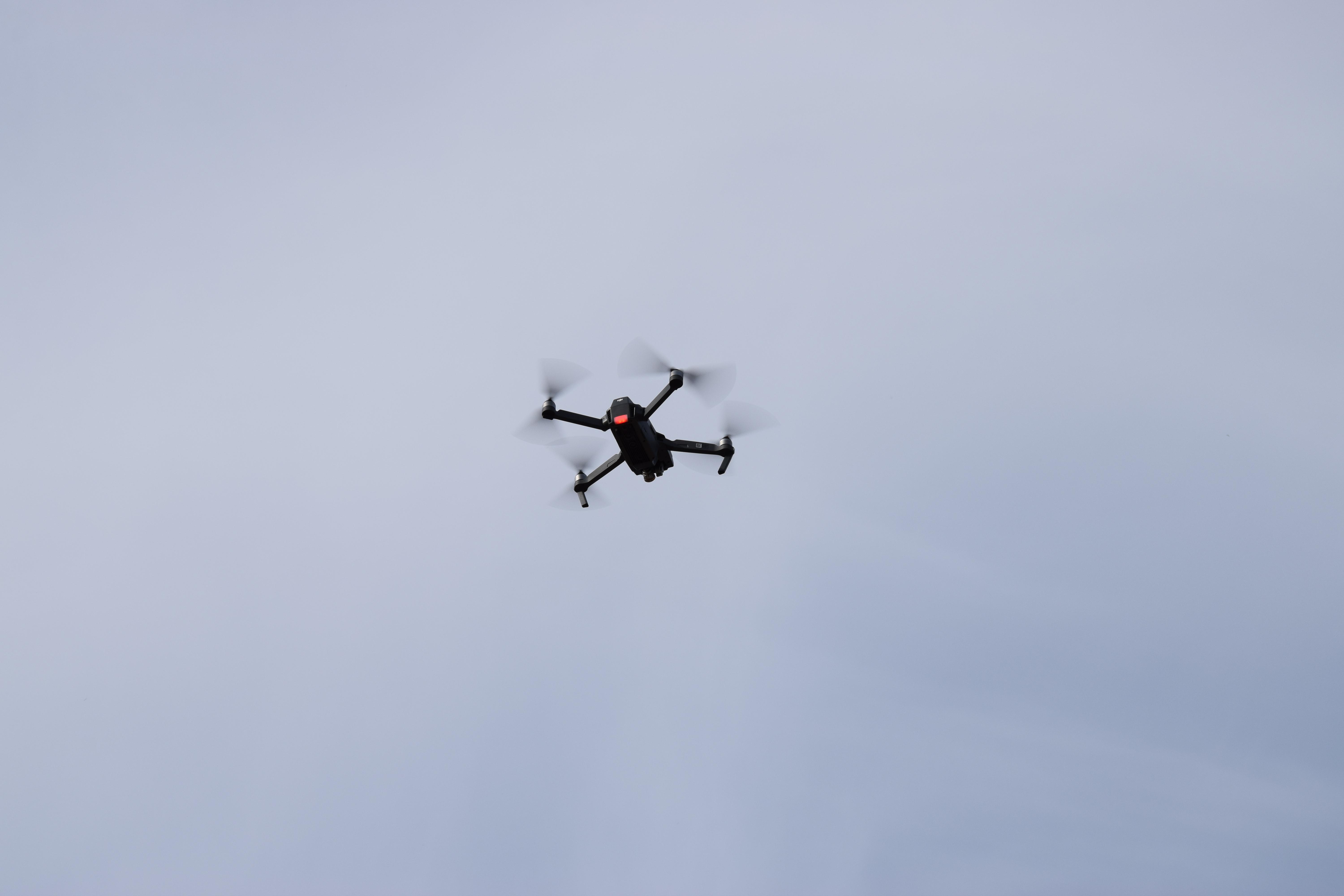 Все, к чему мы прикасаемся, становится будущим