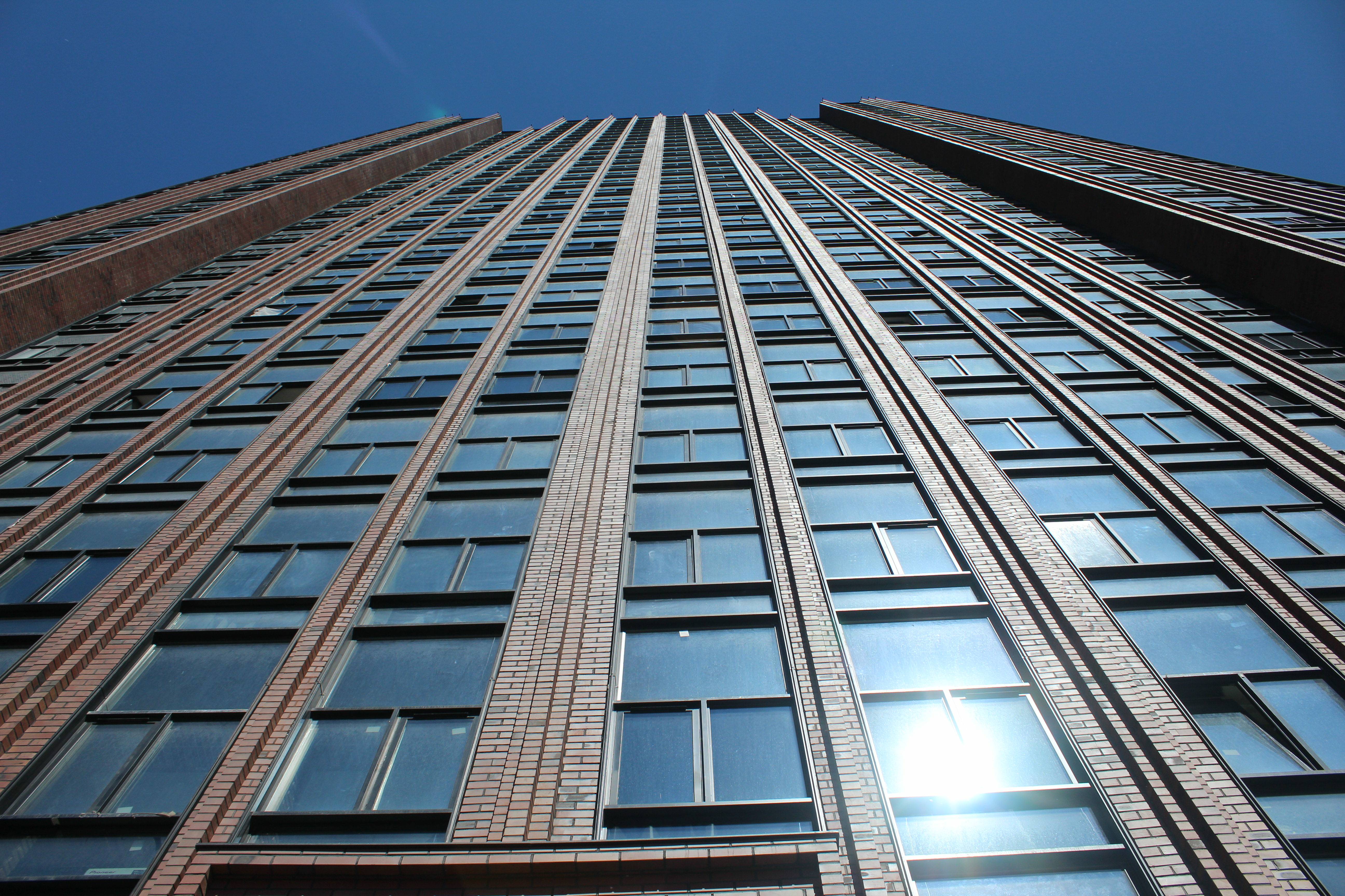 Все, к чему мы прикасаемся, становится будущим